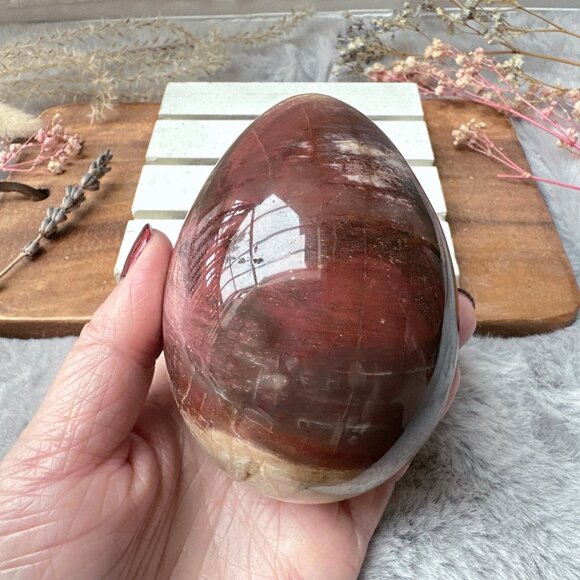Gorgeous Large Petrified Wood Egg - Picture 8 of 9